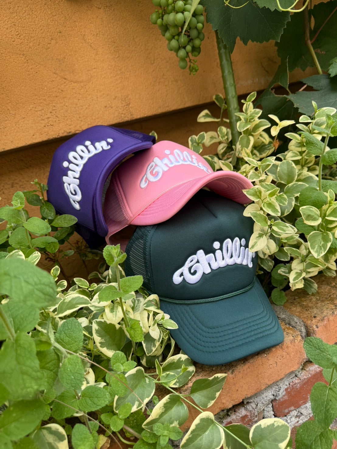LOGO 5PANEL MESH CAP - PINK