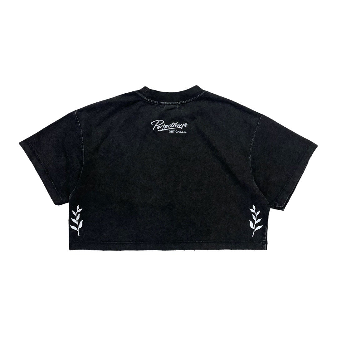 Women's CROPPED PIGMENT S/S TEE - BLACK