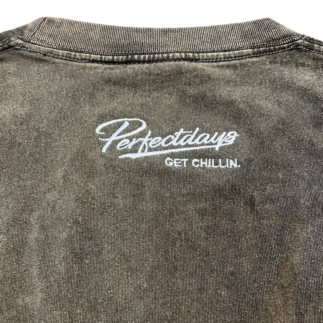 "EAGLE" PIGMENT S/S TEE - BROWN