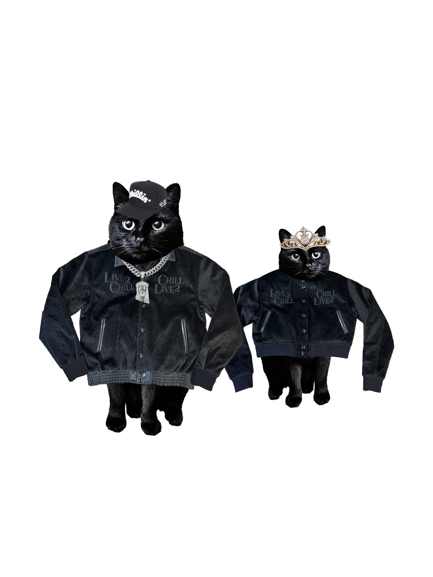Women's BLACK CAT JACKET