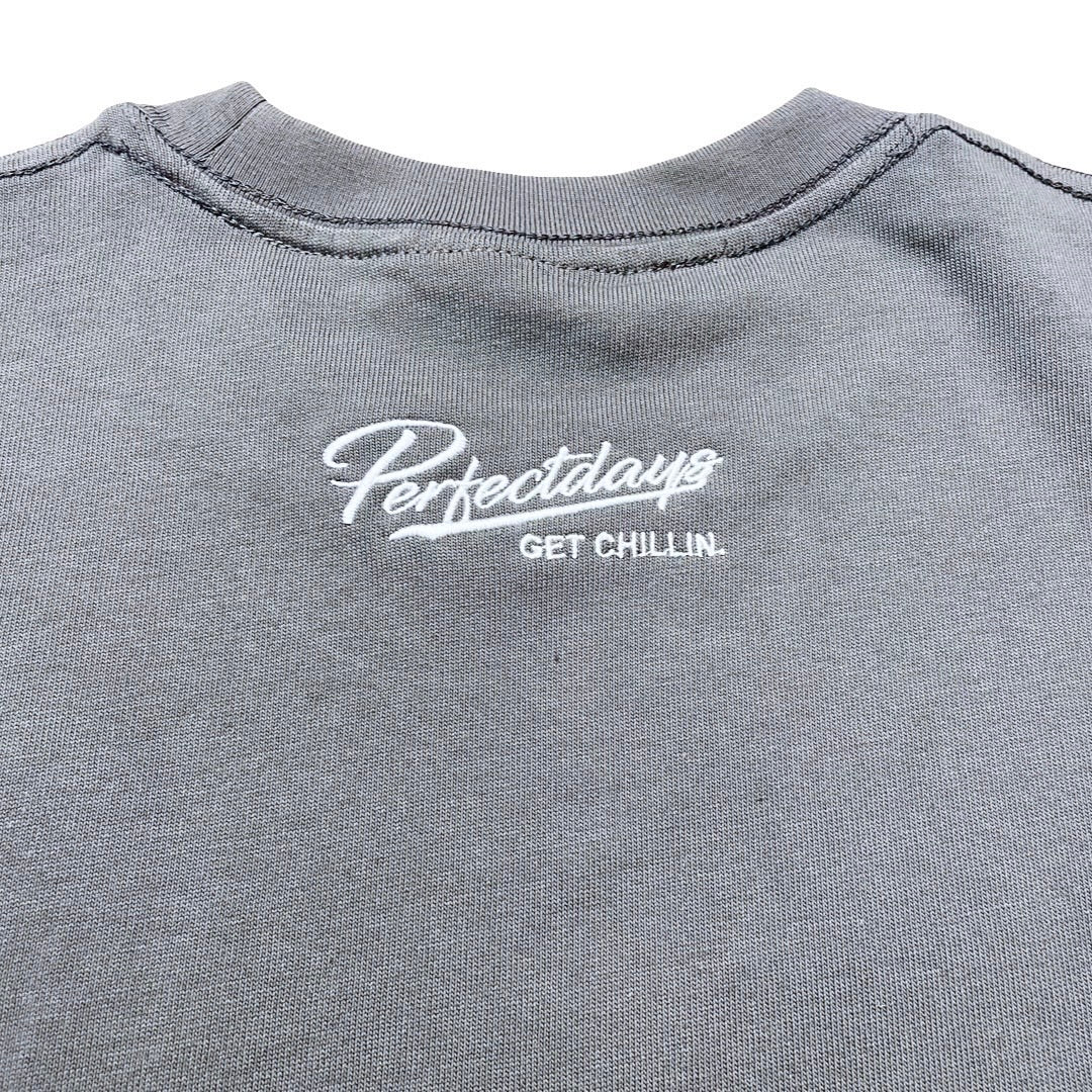 L2C C2L REFLECTOR S/S TEE - CHARCOAL