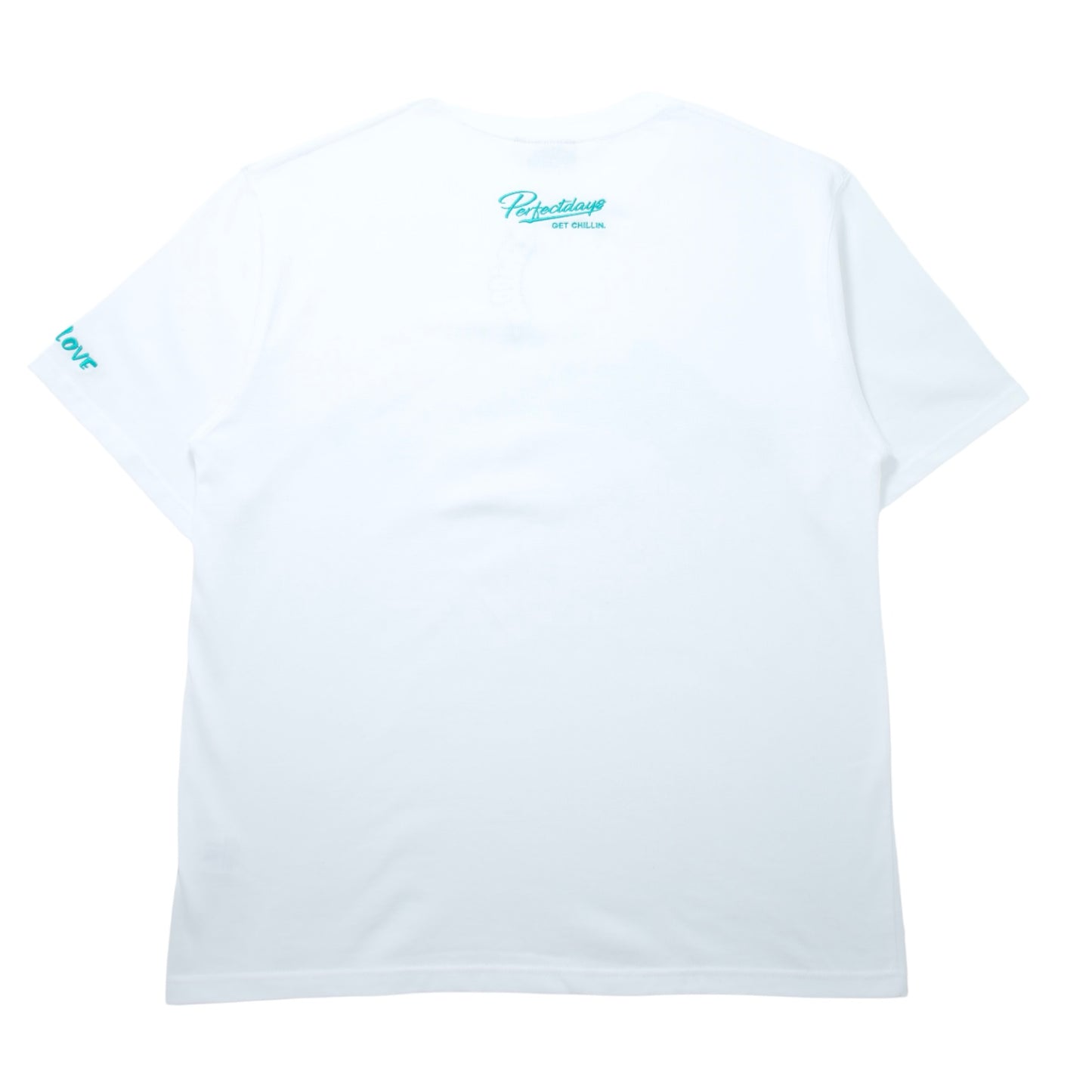 BIG LOGO S/S TEE - WHITE / MINT