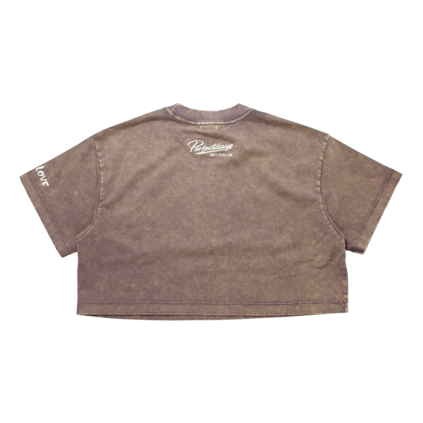 Women's BIG LOGO CROPPED PIGMENT S/S TEE -BROWN