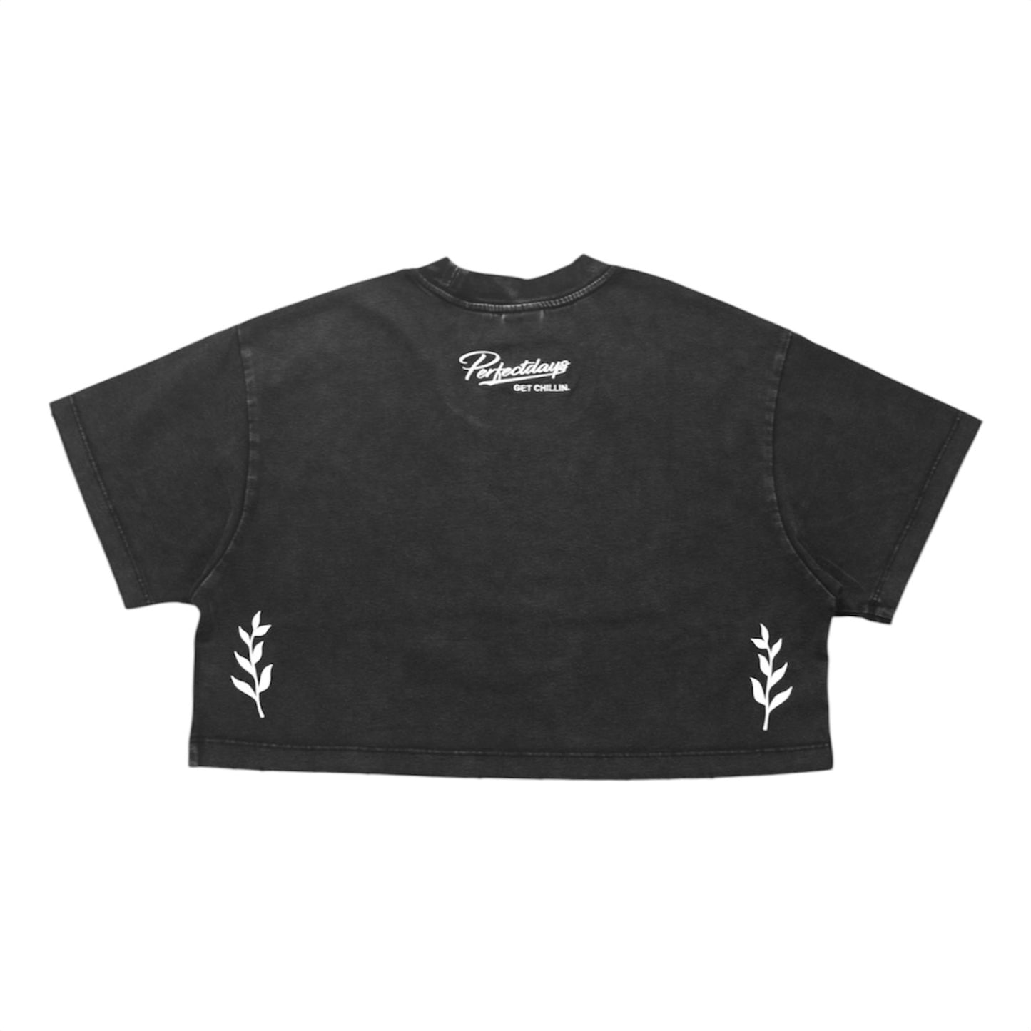 Women's BIG LOGO CROPPED PIGMENT S/S TEE - BLACK