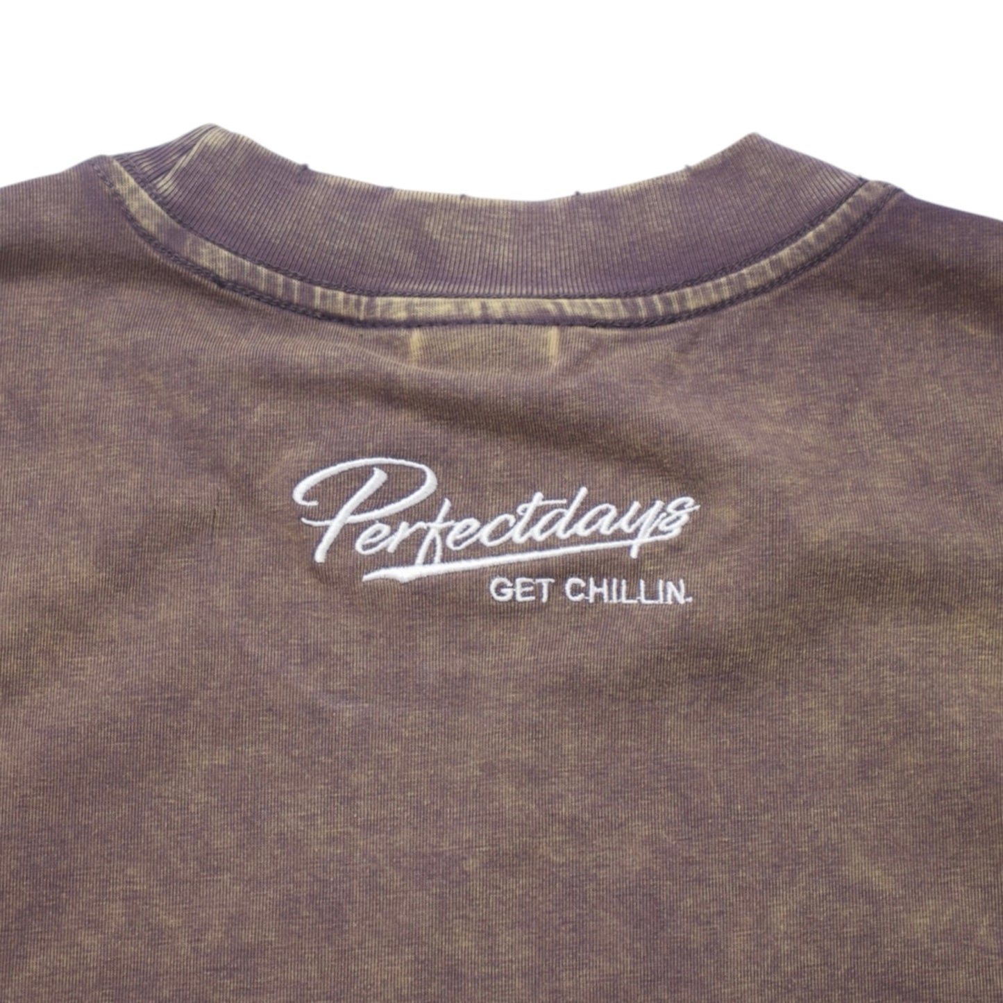 Women's BIG LOGO CROPPED PIGMENT S/S TEE -BROWN